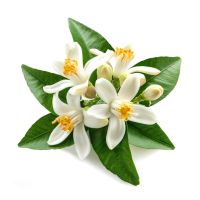Neroli