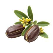 Aceite Jojoba Orgánico República Oleo