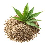 Aceite Semilla Cañamo Orgánico